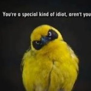 Meet your Posher, April